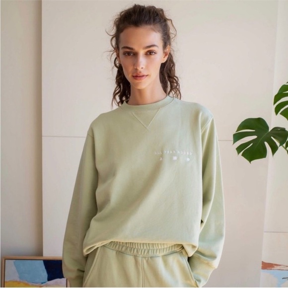 AYR ‘The Sweatshirt’ in Spa Water soft green 100% cotton size Small Crewneck EUC - Picture 1 of 10